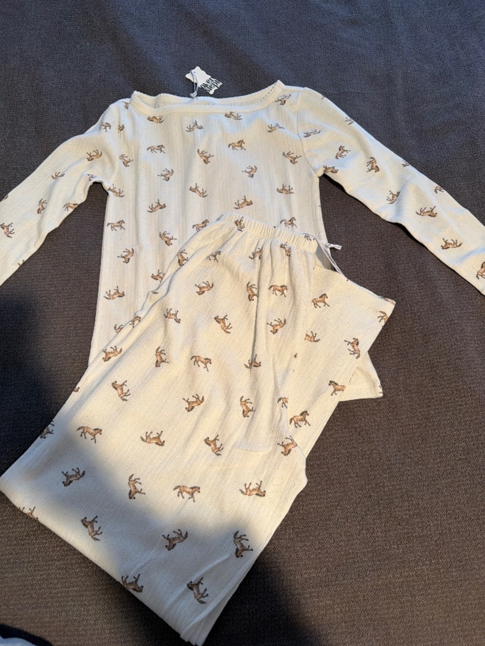 NWT Aerie Overslept Horse Print Pajama Set – Small